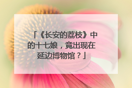 《长安的荔枝》中的十七娘，竟出现在延边博物馆？