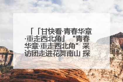 「甘快看·青春华章·重走西北角」“青春华章·重走西北角”采访团走进花舞南山 探寻天水乡村振兴之路