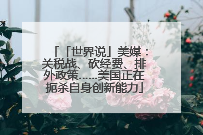 「世界说」美媒：关税战、砍经费、排外政策……美国正在扼杀自身创新能力