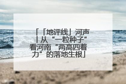 「地评线」河声丨从“一粒种子”看河南“两高四着力”的落地生根