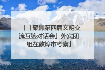 「聚焦第四届文明交流互鉴对话会」外宾团组在敦煌市考察