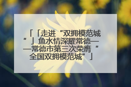 「走进“双拥模范城”」鱼水情深耀常德——常德市第三次荣膺“全国双拥模范城”