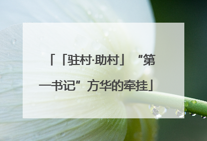 「驻村·助村」“第一书记”方华的牵挂