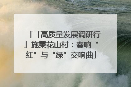 「高质量发展调研行」施秉花山村：奏响“红”与“绿”交响曲