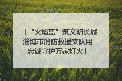 “火焰蓝”筑文明长城 淄博市消防救援支队用忠诚守护万家灯火