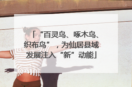 “百灵鸟、啄木鸟、织布鸟”，为仙居县域发展注入“新”动能