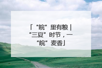 “皖”里有粮｜“三夏”时节，一“皖”麦香