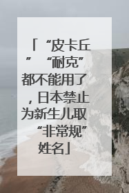 “皮卡丘”“耐克”都不能用了，日本禁止为新生儿取“非常规”姓名