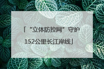 “立体防控网”守护152公里长江岸线