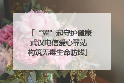 “翼”起守护健康 武汉电信爱心翼站构筑无毒生命防线