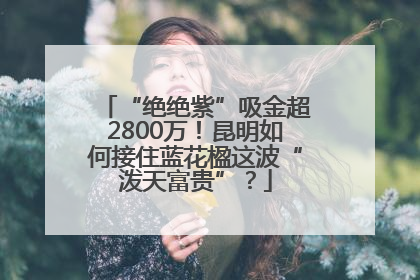 “绝绝紫”吸金超2800万！昆明如何接住蓝花楹这波“泼天富贵”？