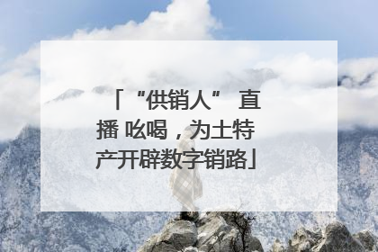 “供销人” 直播 吆喝，为土特产开辟数字销路