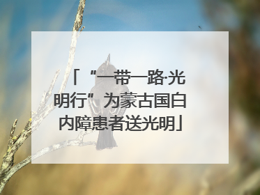 “一带一路·光明行”为蒙古国白内障患者送光明