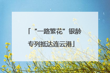 “一路繁花”银龄专列抵达连云港