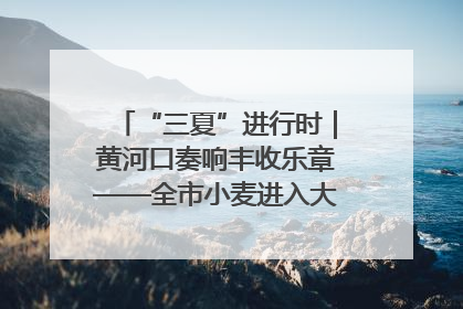 “三夏”进行时｜黄河口奏响丰收乐章——全市小麦进入大面积收获高峰期