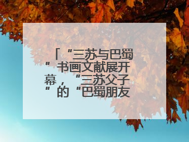 “三苏与巴蜀”书画文献展开幕，“三苏父子”的“巴蜀朋友圈”人物亮相
