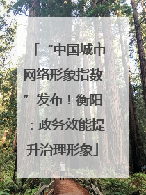 “中国城市网络形象指数”发布！衡阳：政务效能提升治理形象