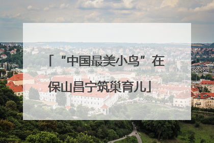 “中国最美小鸟”在保山昌宁筑巢育儿