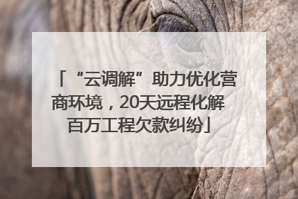 “云调解”助力优化营商环境，20天远程化解百万工程欠款纠纷