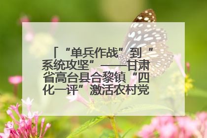 “单兵作战”到“系统攻坚”——甘肃省高台县合黎镇“四化一评”激活农村党员管理新引擎