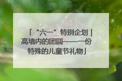 “六一”特别企划｜高墙内的团圆——一份特殊的儿童节礼物