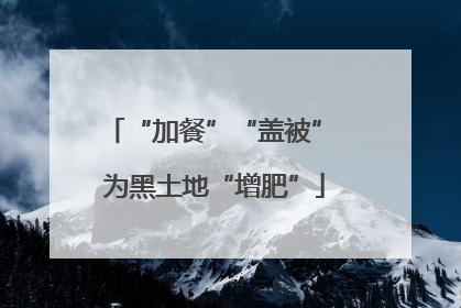 “加餐”“盖被” 为黑土地“增肥”