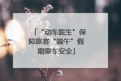 “动车医生”保障旅客“端午”假期乘车安全