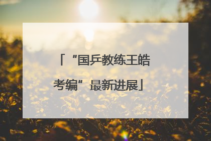 “国乒教练王皓考编”最新进展