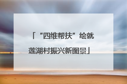 “四维帮扶”绘就莲湖村振兴新图景