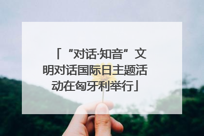 “对话·知音”文明对话国际日主题活动在匈牙利举行