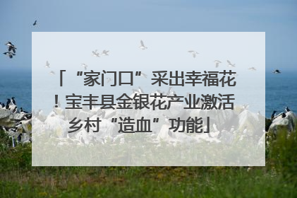 “家门口”采出幸福花！宝丰县金银花产业激活乡村“造血”功能