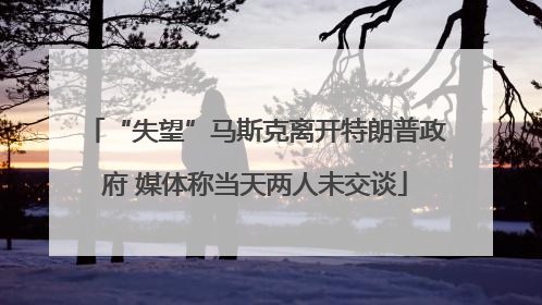 “失望”马斯克离开特朗普政府 媒体称当天两人未交谈