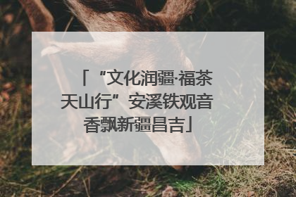 “文化润疆·福茶天山行”安溪铁观音香飘新疆昌吉