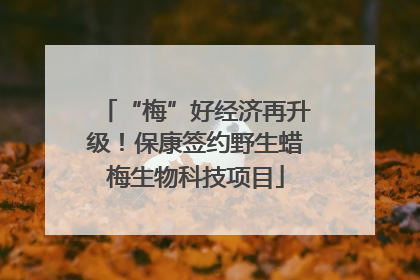 “梅”好经济再升级！保康签约野生蜡梅生物科技项目