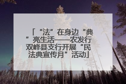 “法”在身边“典”亮生活——农发行双峰县支行开展“民法典宣传月”活动