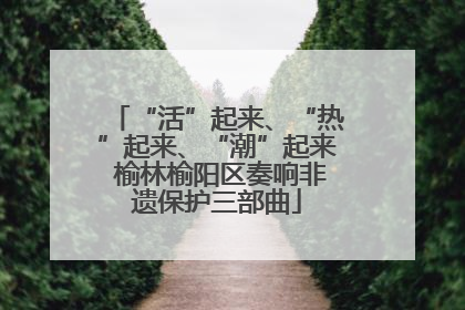 “活”起来、“热”起来、“潮”起来 榆林榆阳区奏响非遗保护三部曲