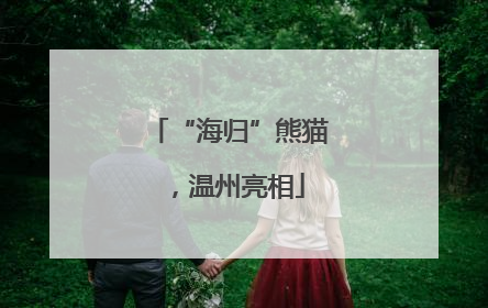 “海归”熊猫，温州亮相