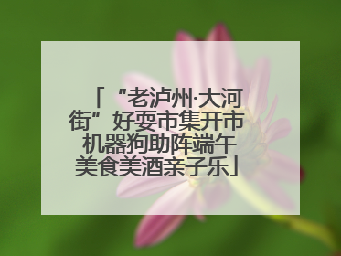 “老泸州·大河街”好耍市集开市 机器狗助阵端午美食美酒亲子乐