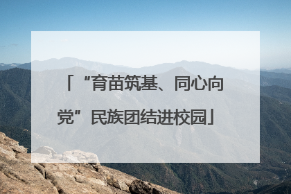 “育苗筑基、同心向党”民族团结进校园
