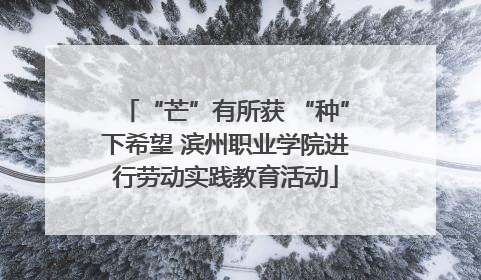 “芒”有所获 “种”下希望 滨州职业学院进行劳动实践教育活动