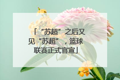 “苏超”之后又见“苏超”，篮球联赛正式官宣