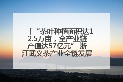 “茶叶种植面积达12.5万亩，全产业链产值达57亿元” 浙江武义茶产业全链发展“加速度”