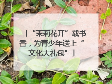 “茉莉花开”载书香，为青少年送上“文化大礼包”