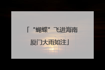 “蝴蝶”飞进海南 厦门大雨如注