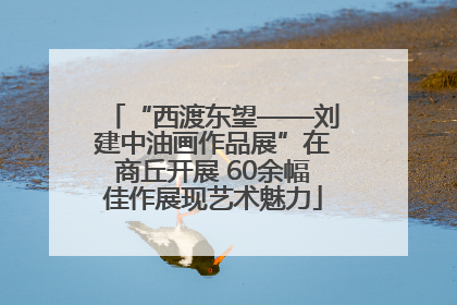 “西渡东望——刘建中油画作品展”在商丘开展 60余幅佳作展现艺术魅力