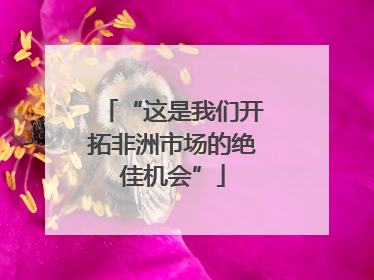 “这是我们开拓非洲市场的绝佳机会”
