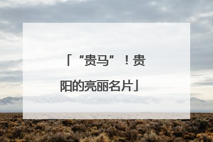 “贵马”！贵阳的亮丽名片