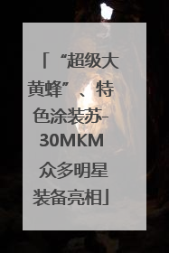 “超级大黄蜂”、特色涂装苏-30MKM 众多明星装备亮相