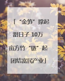 “金笋”撑起甜日子 10万亩方竹“链”起团结富民产业