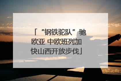 “钢铁驼队”驰欧亚 中欧班列加快山西开放步伐